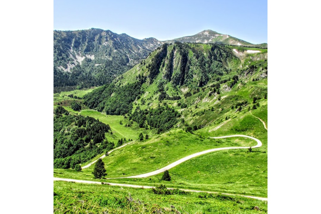 CLASSICEXPERIENCE LE TOUR DE FRANCE EDITION
