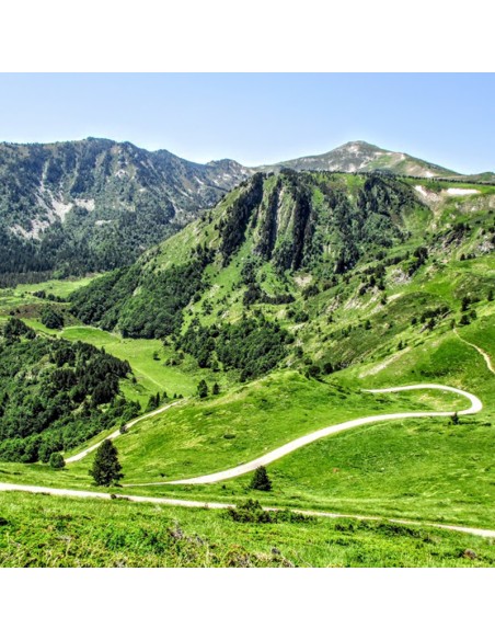 CLASSICEXPERIENCE LE TOUR DE FRANCE EDITION