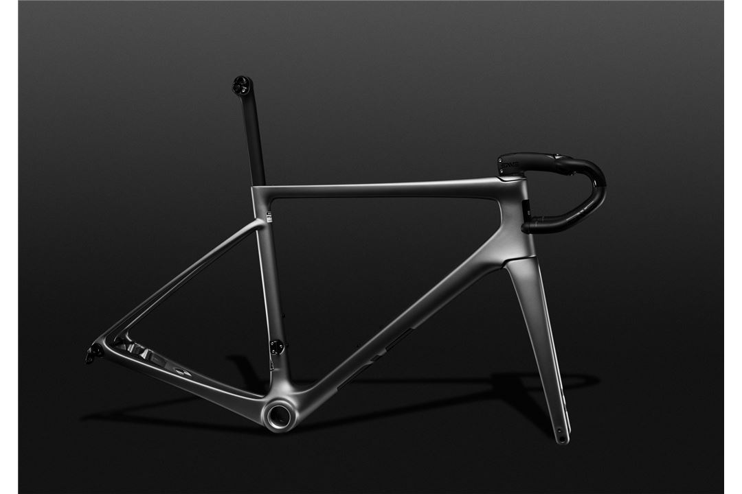 CUADRO ENVE MELEE